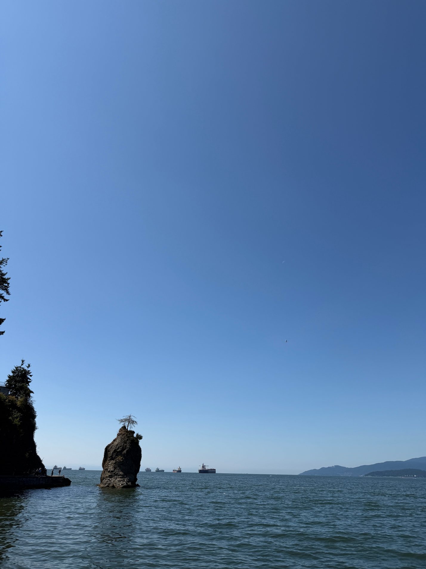 A tock and the sea behind Stanley Park